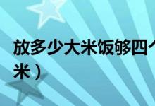 放多少大米饭够四个人吃（四个人米饭放多少米）