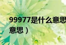 99977是什么意思网络语言（99977是什么意思）