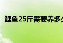 鲤鱼25斤需要养多少年（鲤鱼能活多少年）