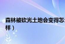 森林被砍光土地会变得怎么样（森林被砍光土地会变成什么样）