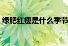 绿肥红瘦是什么季节（绿肥红瘦是什么季节）