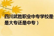 四川武胜职业中专学校是公办么（四川省武胜职业中专学校是大专还是中专）