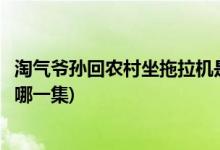 淘气爷孙回农村坐拖拉机是第几集(淘气爷孙农村坐拖拉机在哪一集)