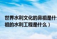 世界水利文化的鼻祖是什么工程（被誉为世界水利文化的鼻祖的水利工程是什么）