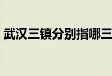 武汉三镇分别指哪三镇（武汉三镇是哪三镇）