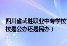 四川省武胜职业中专学校官网成都（四川省武胜职业中专学校是公办还是民办）