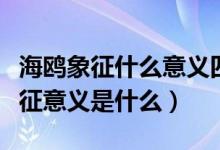 海鸥象征什么意义四字成语（海鸥的特点和象征意义是什么）