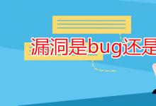 教育资讯：漏洞是bug还是bag