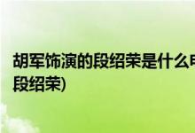 胡军饰演的段绍荣是什么电视剧(胡军在哪部电视剧中饰演的段绍荣)