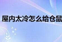 屋内太冷怎么给仓鼠保暖（屋内太冷怎么办）