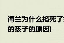 海兰为什么掐死了如懿的孩子(海兰掐死如懿的孩子的原因)