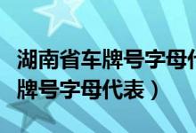 湖南省车牌号字母代表城市大小吗（湖南省车牌号字母代表）