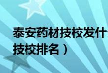 泰安药材技校发什么毕业证（2022泰安十大技校排名）