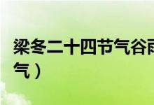 梁冬二十四节气谷雨篇（谷雨是什么季节的节气）