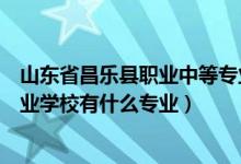 山东省昌乐县职业中等专业学校（山东省昌乐县职业中等专业学校有什么专业）