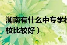 湖南有什么中专学校比较好（湖南哪些中专学校比较好）