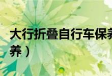 大行折叠自行车保养技巧（折叠自行车怎么保养）