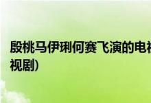 殷桃马伊琍何赛飞演的电视剧(殷桃马伊琍何赛飞演的什么电视剧)