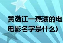 黄渤江一燕演的电影叫什么(黄渤江一燕演的电影名字是什么)