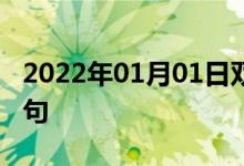 2022年01月01日双语整理：不用机器双语例句