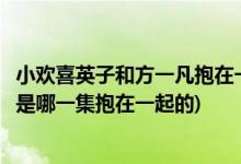 小欢喜英子和方一凡抱在一起是哪一集(小欢喜英子和方一凡是哪一集抱在一起的)