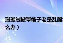 珊瑚绒被罩被子老是乱跑怎么办（珊瑚绒被套被子老是跑怎么办）