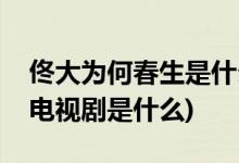 佟大为何春生是什么电视剧(佟大为何春生的电视剧是什么)