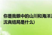 你是我眼中的山川和海洋沈真结局(你是我眼中的山川和海洋沈真结局是什么)