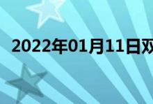 2022年01月11日双语整理：丝柏双语例句