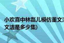 小欢喜中林磊儿模仿董文洁是哪一集(小欢喜中林磊儿模仿董文洁是多少集)