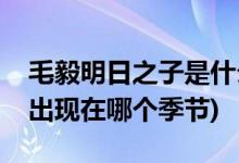 毛毅明日之子是什么季节(《明日之子》毛毅出现在哪个季节)