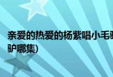 亲爱的热爱的杨紫唱小毛驴是第几集(亲爱的热爱的佟年小毛驴哪集)