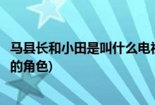 马县长和小田是叫什么电视剧(马县长和小田是什么电视剧里的角色)