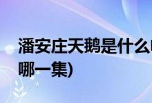 潘安庄天鹅是什么电视剧(济公活佛毕潘安是哪一集)