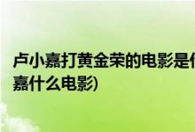 卢小嘉打黄金荣的电影是什么名字(郑则仕拍的黄金荣打卢筱嘉什么电影)