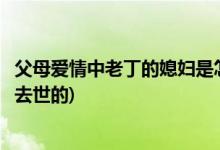 父母爱情中老丁的媳妇是怎么死的(父母爱情中老丁媳妇怎么去世的)