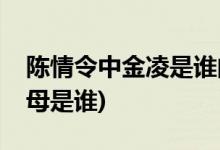 陈情令中金凌是谁的孩子(陈情令中金凌的父母是谁)