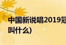 中国新说唱2019冠军是谁(中国新说唱2冠军叫什么)