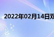 2022年02月14日双语整理：飞跃双语例句