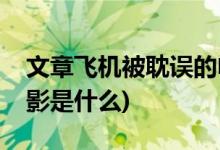 文章飞机被耽误的电影(文章飞机被耽误的电影是什么)