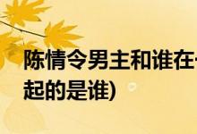 陈情令男主和谁在一起(陈情令中和男主在一起的是谁)