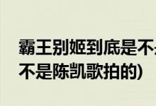 霸王别姬到底是不是陈凯歌拍的(霸王别姬是不是陈凯歌拍的)