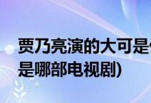 贾乃亮演的大可是什么电视剧(贾乃亮陈大可是哪部电视剧)