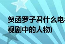 贺函罗子君什么电视剧(贺涵罗子君是哪部电视剧中的人物)