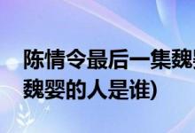 陈情令最后一集魏婴是谁叫的(陈情令最后喊魏婴的人是谁)