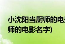 小沈阳当厨师的电影叫什么名字(小沈阳当厨师的电影名字)