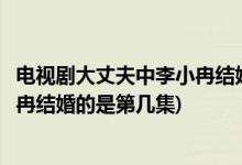 电视剧大丈夫中李小冉结婚的是哪一集(电视剧大丈夫中李小冉结婚的是第几集)