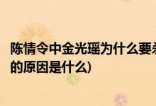 陈情令中金光瑶为什么要杀自己儿子(陈情令金光瑶杀死儿子的原因是什么)