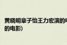 黄晓明章子怡王力宏演的电影叫什么(黄晓明章子怡王力宏演的电影)