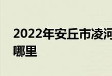 2022年安丘市凌河镇大路村幼儿园的地址在哪里